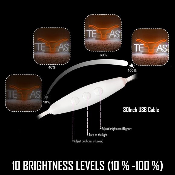 TEXAS LONGHORN NEON LED SIGN - Picture 3 of 5